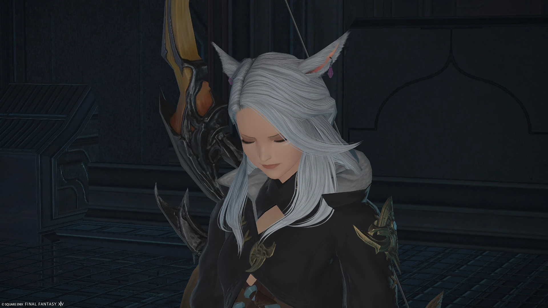 S.D. Shiro